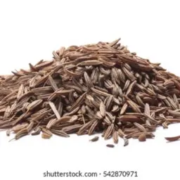 Caraway